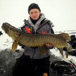 Pike cm caught on ice