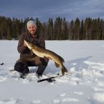 Ice fishing for big pikes