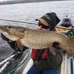 Fims guide Benny with a nice flyfishing pike