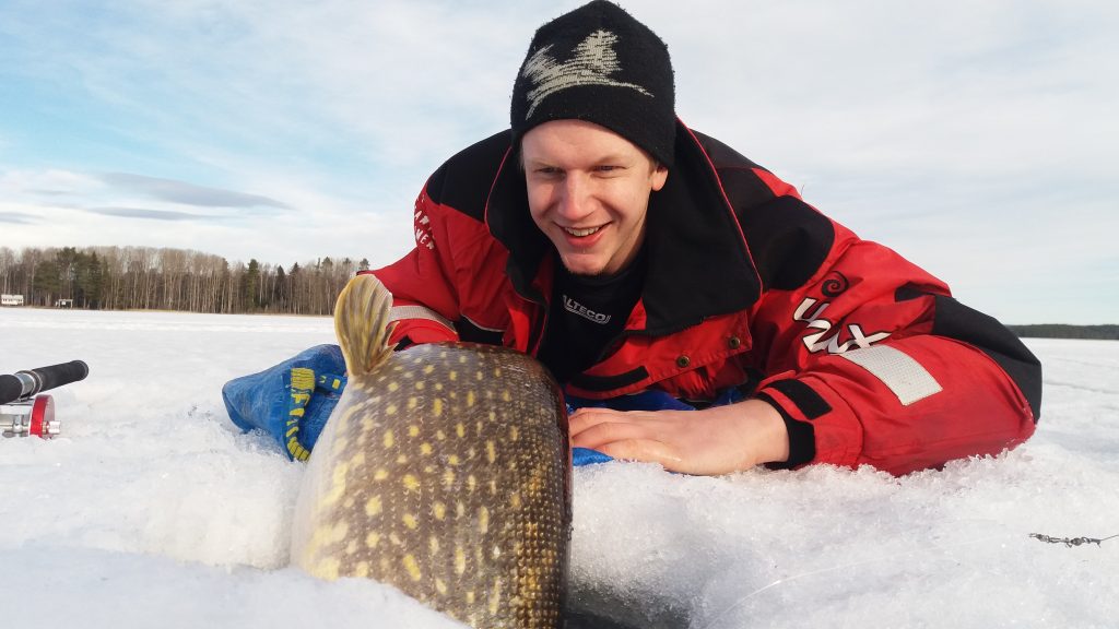 Martin Elversson, FIMS guide from Cottage in Hälsingland